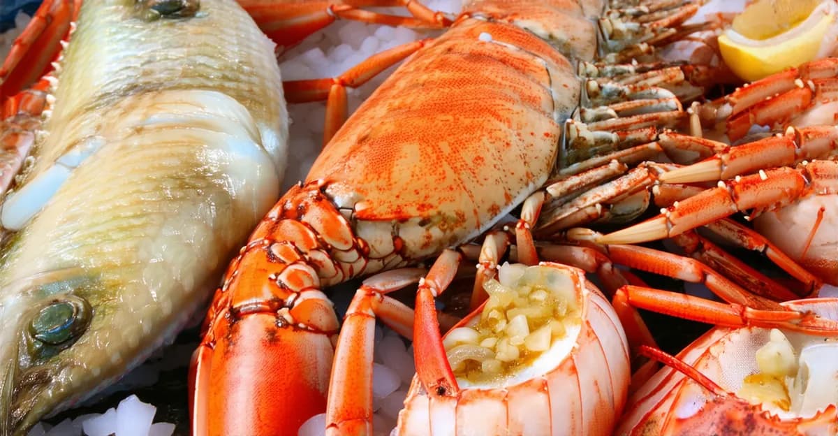 Bocas del Toro Seafood: Explore Local Flavors