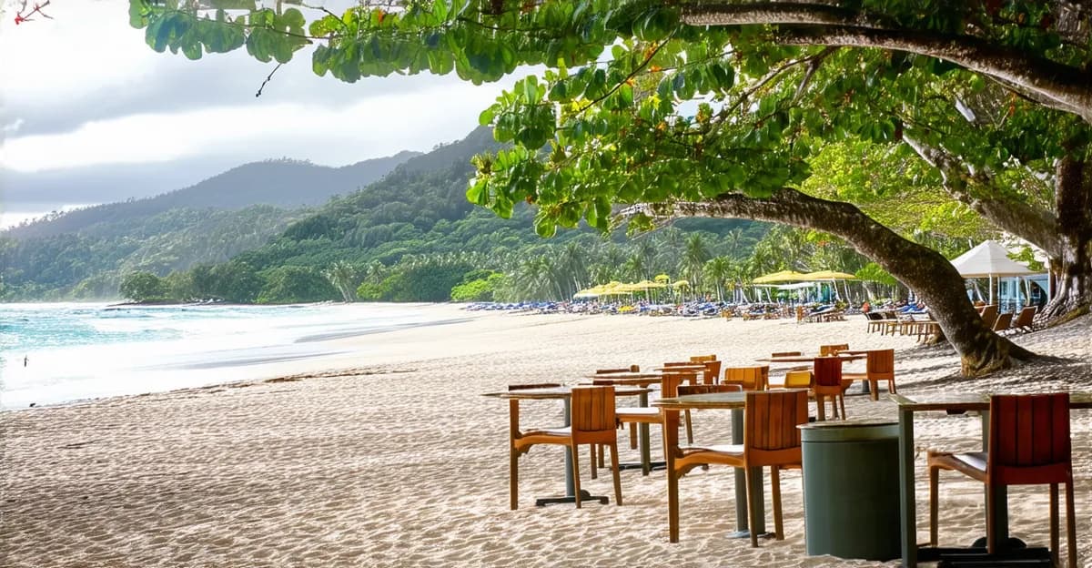 Port Douglas Beachside Cafes: Coastal Culinary Delights