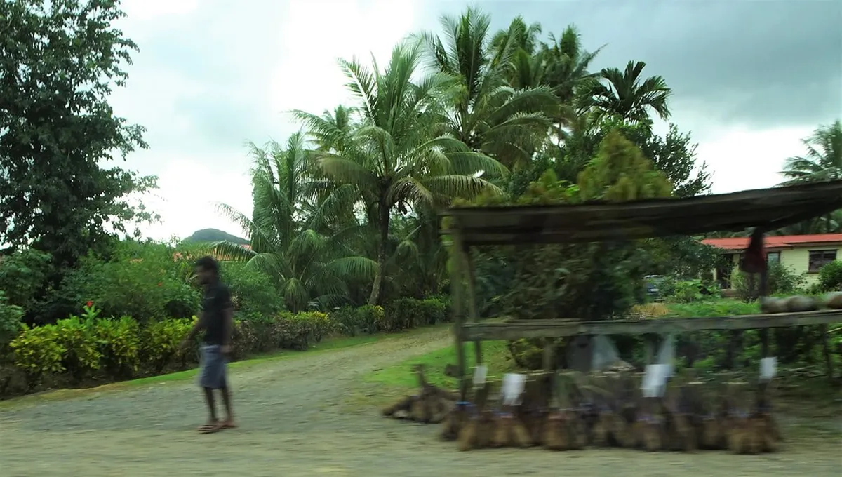 4. Cassava: A Fijian Staple
