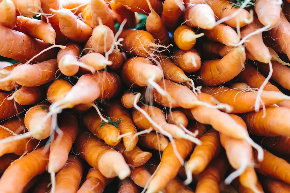 4. Farmer’s Markets: The Heart of Burlington’s Culinary Scene