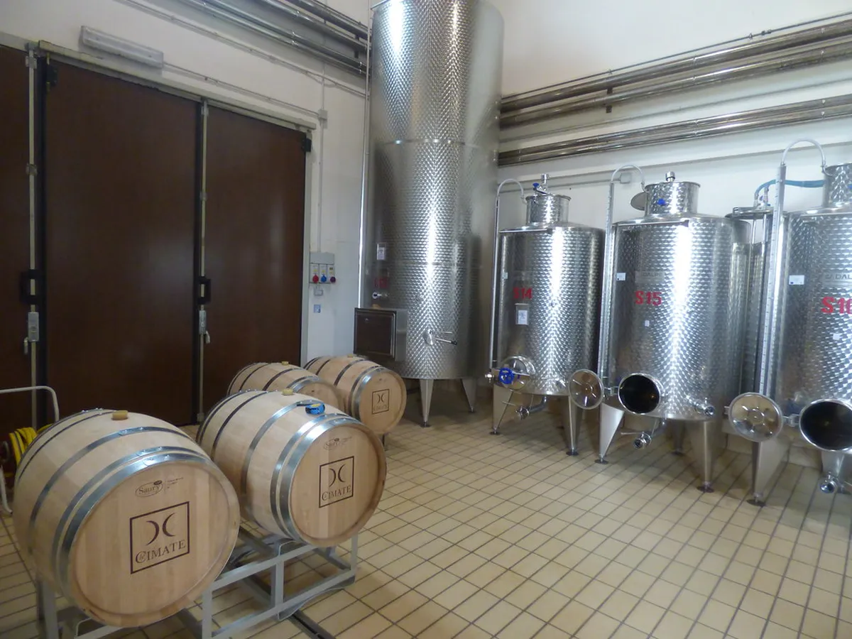 10. Wine Tastings: Discovering Perugia’s Hidden Gems