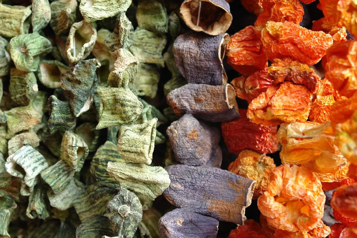 7. Dolma: Stuffed Vegetables in Gaziantep Cuisine
