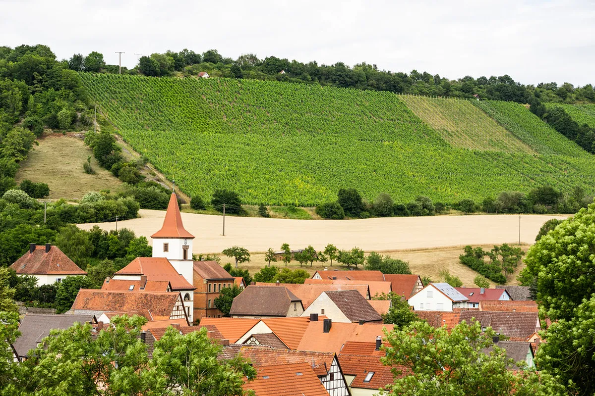 7. Franconian wine: A Perfect Pairing