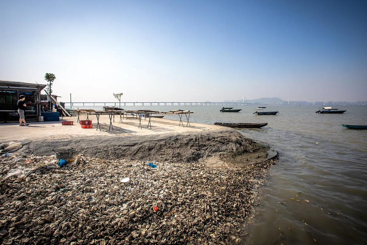 7. Fresh seafood: Tasting the Ocean’s Bounty